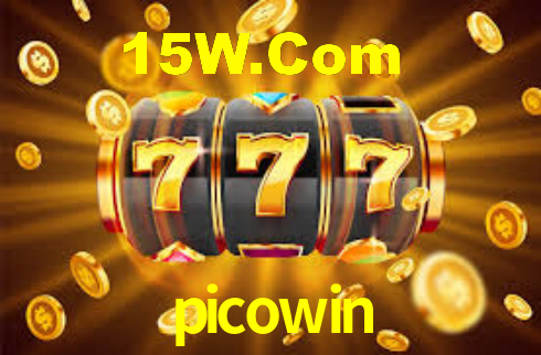 Interface Premium picowin